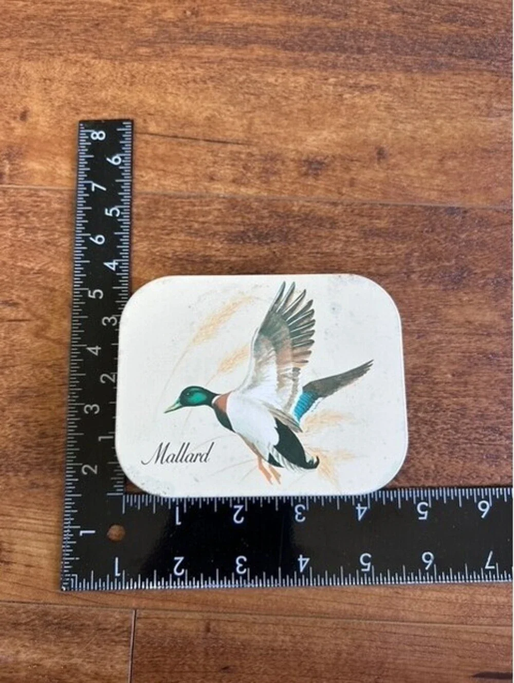 Set of 4 Vintage Bird Coasters with Duck and Goose Illustrations